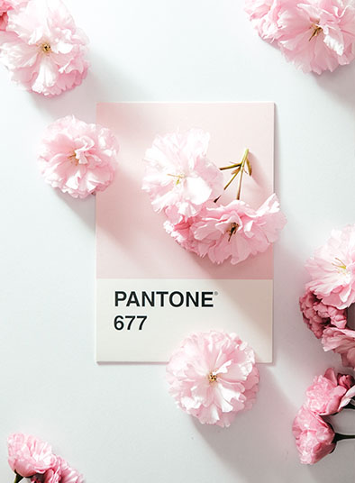 Color-del-año-1 Color del Año Pantone